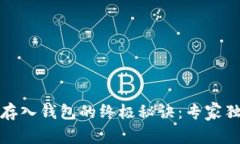 比特币存入钱包的终极秘诀：专家独家揭秘