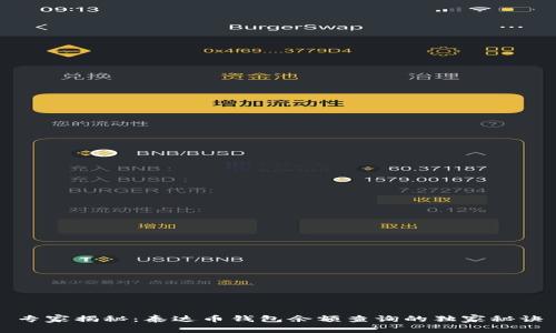 专家揭秘：泰达币钱包余额查询的独家秘诀