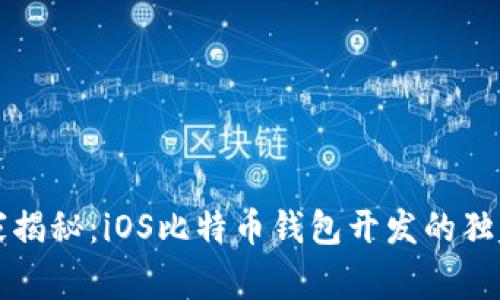 bh专家揭秘：iOS比特币钱包开发的独家秘诀