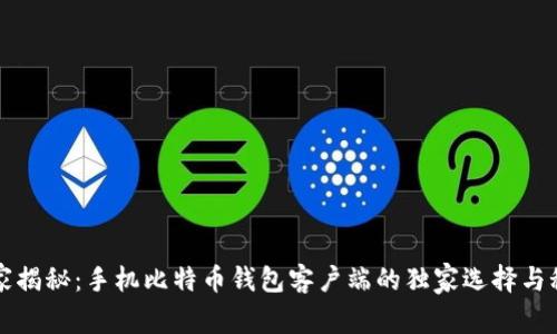 专家揭秘：手机比特币钱包客户端的独家选择与秘诀