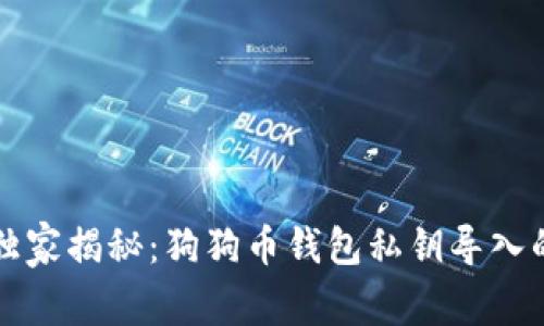 专家独家揭秘：狗狗币钱包私钥导入的秘诀