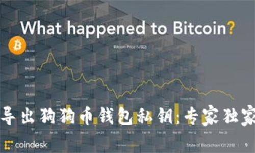 如何导出狗狗币钱包私钥：专家独家秘诀