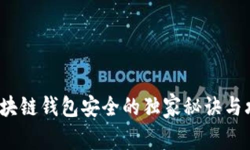 专家揭秘：区块链钱包安全的独家秘诀与攻击方式解析