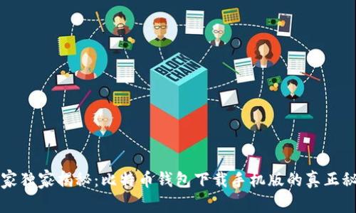 专家独家揭秘：比特币钱包下载手机版的真正秘诀