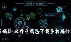 专家独家揭秘：比特币钱包下载手机版的真正秘