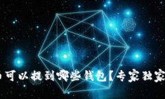 XRP币可以提到哪些钱包？专家独家揭秘！