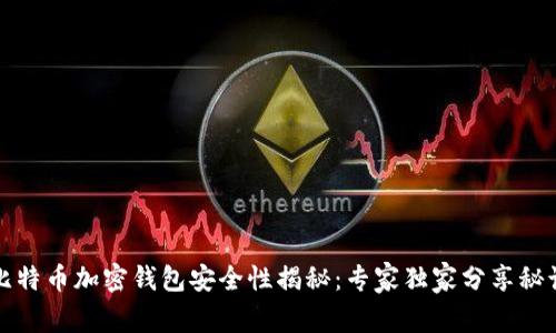 比特币加密钱包安全性揭秘：专家独家分享秘诀