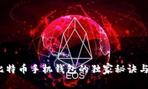 专家揭秘：比特币手机钱包的独家秘诀与安全性分析