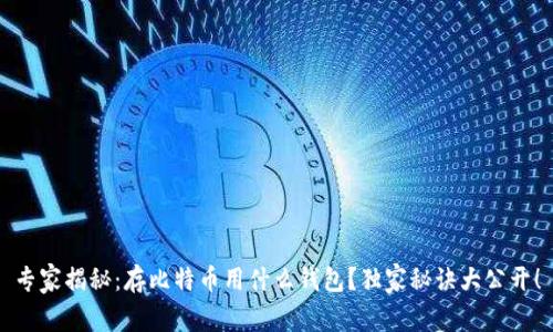 专家揭秘：存比特币用什么钱包？独家秘诀大公开！