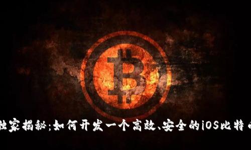 专家独家揭秘：如何开发一个高效、安全的iOS比特币钱包