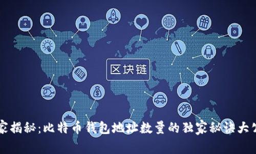 专家揭秘：比特币钱包地址数量的独家秘诀大公开