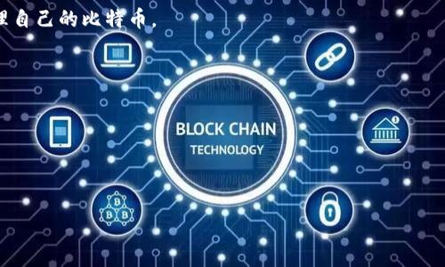 比特币并没有一个官方钱包，原因在于比特币是一个去中心化的数字货币，没有单一的控制实体或官方组织。比特币的核心开发团队（Bitcoin Core）确实开发了一个最流行的比特币钱包软件，这个钱包通常被认为是比较权威的选择。

以下是一些受欢迎的比特币钱包选项：

1. **Bitcoin Core**：这是比特币网络的官方软件钱包，功能强大，但需要下载整个比特币区块链，数据量较大。

2. **Electrum**：这是一个轻量级的钱包，速度快，支持多种平台，用户可以选择服务器来管理自己的比特币。

3. **Ledger和Trezor**：这两个钱包是硬件钱包，安全性极高，适合长期保存比特币。

4. **Exodus**：这是一个用户友好的桌面和移动钱包，支持多种加密货币。

5. **Coinbase**：虽然它是一个交易平台，但也提供一个钱包，适合新手使用。

选择一个适合自己的钱包需要考虑安全性、便利性和在此钱包中操作的加密货币种类。