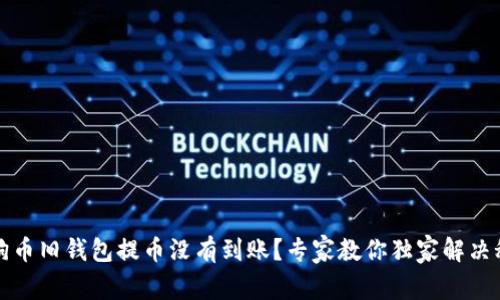 狗狗币旧钱包提币没有到账？专家教你独家解决秘诀