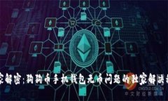 专家解密：狗狗币手机钱包无币问题的独家解决