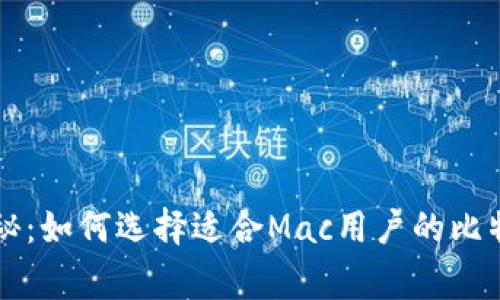 专家独家揭秘：如何选择适合Mac用户的比特币钱包秘诀