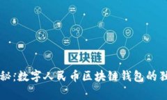 专家揭秘：数字人民币区块链钱包的独家秘诀