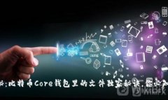 专家揭秘：比特币Core钱包里的文件独家秘诀，你
