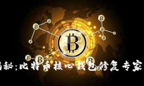 独家揭秘：比特币核心钱包修复专家的秘诀