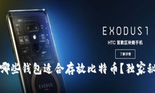 专家揭秘：哪些钱包适合存放比特币？独家秘诀告诉你！