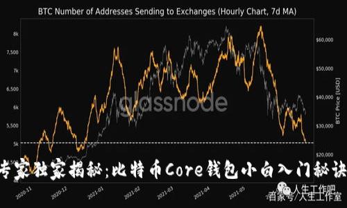 专家独家揭秘：比特币Core钱包小白入门秘诀！