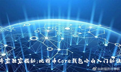 专家独家揭秘：比特币Core钱包小白入门秘诀！