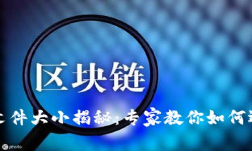 比特币钱包文件大小揭秘：专家教你如何选择最优钱包