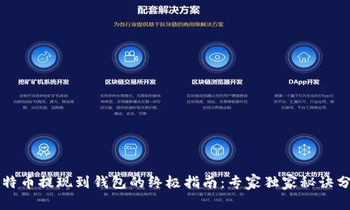 比特币提现到钱包的终极指南:专家独家秘诀分享
