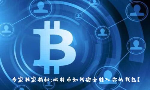 专家独家揭秘:比特币如何安全转入你的钱包?