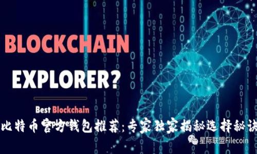 比特币官方钱包推荐:专家独家揭秘选择秘诀