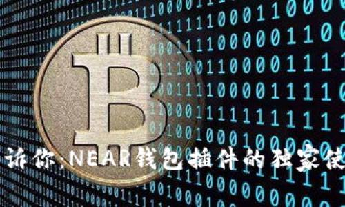 专家告诉你：NEAR钱包插件的独家使用秘诀
