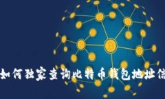 专家揭秘：如何独家查询比特币钱包地址信息的