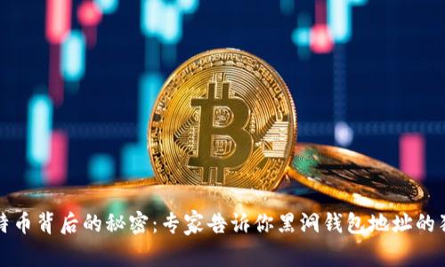 揭示比特币背后的秘密:专家告诉你黑洞钱包地址的独家秘诀