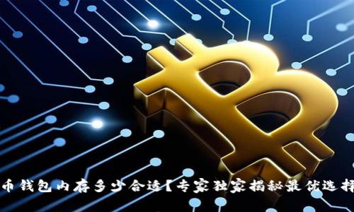 比特币钱包内存多少合适?专家独家揭秘最优选择秘诀