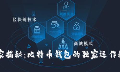 专家揭秘:比特币钱包的独家运作秘诀