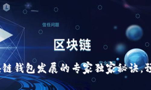 2024年区块链钱包发展的专家独家秘诀,预见未来趋势