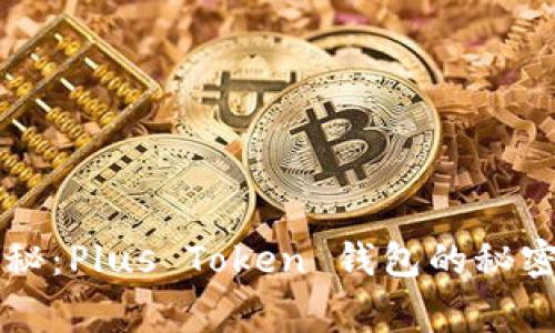 专家独家揭秘:Plus Token 钱包的秘密与使用技巧