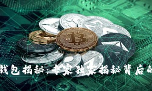 虚拟币假钱包揭秘:专家独家揭秘背后的欺诈秘诀