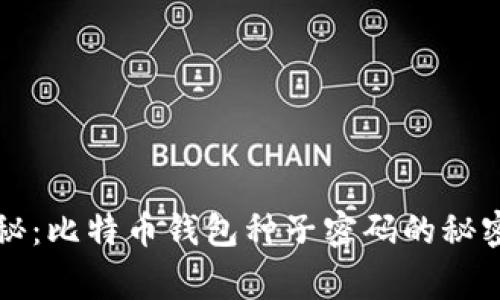 专家独家揭秘:比特币钱包种子密码的秘密与设置秘诀