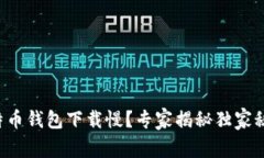 比特币钱包下载慢？专家揭秘独家秘诀！