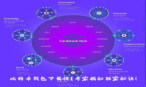 比特币钱包下载慢?专家揭秘独家秘诀!