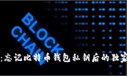 专家揭秘：忘记比特币钱包私钥后的独家恢复秘诀