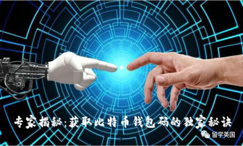 专家揭秘:获取比特币钱包码的独家秘诀
