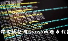 专家揭秘：如何高效使用Copay比特币钱包的独家秘