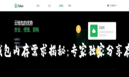 比特币钱包内存需求揭秘:专家独家分享存储秘诀!