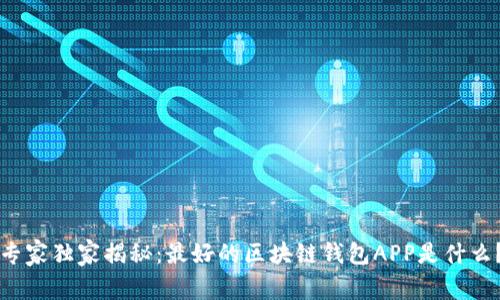 专家独家揭秘:最好的区块链钱包APP是什么?