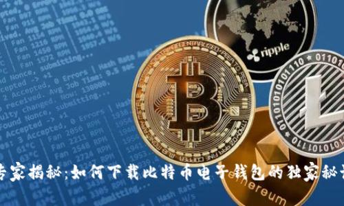 专家揭秘:如何下载比特币电子钱包的独家秘诀