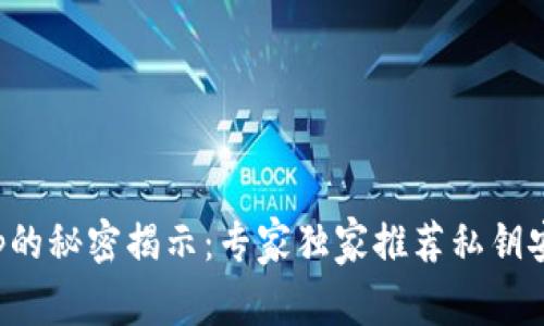 比特币钱包App的秘密揭示：专家独家推荐私钥安全的最佳选择