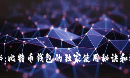 专家揭秘：比特币钱包的独家使用秘诀和选择指南