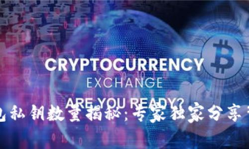 比特币钱包私钥数量揭秘：专家独家分享背后的秘诀
