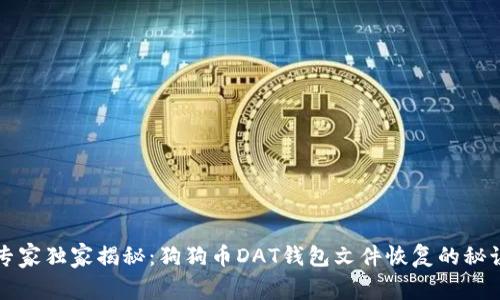专家独家揭秘:狗狗币DAT钱包文件恢复的秘诀
